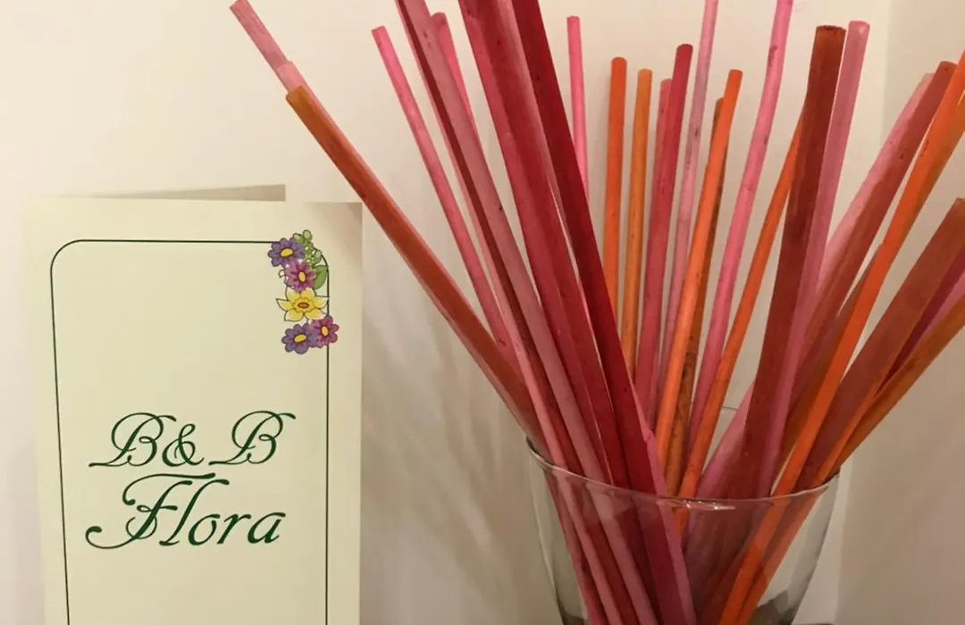B&B Flora-1